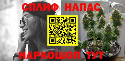 дурь Новодвинск