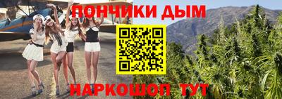 дурь Новодвинск