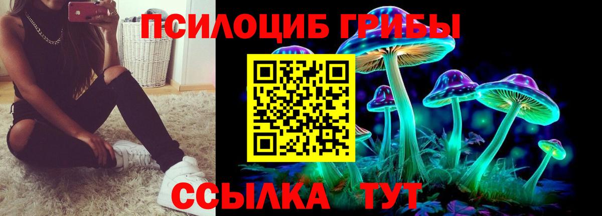 Псилоцибиновые грибы Psilocybine cubensis Печора